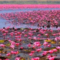 جاهای دیدنی انزلی در تابستان