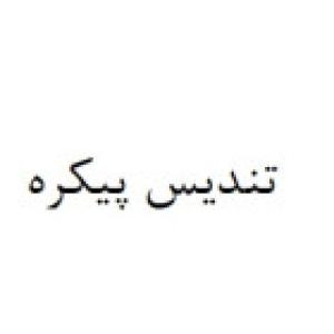 تندیس پیکره