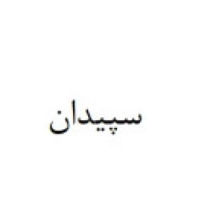 سپیدان